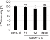 Figure 2—figure supplement 3.