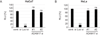Figure 1—figure supplement 2.