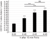 Figure 2—figure supplement 1.