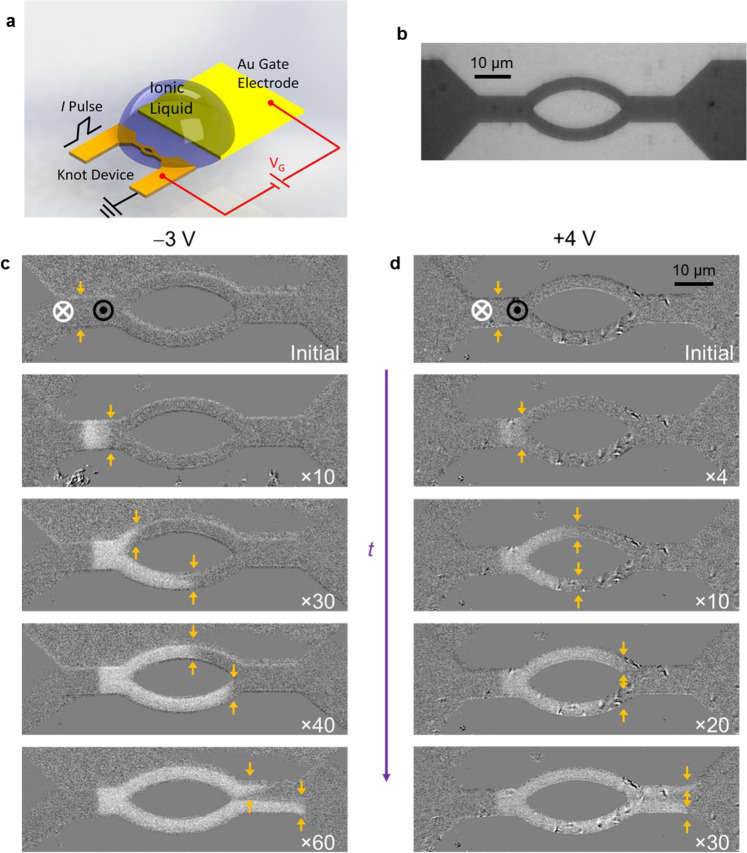 Fig. 4