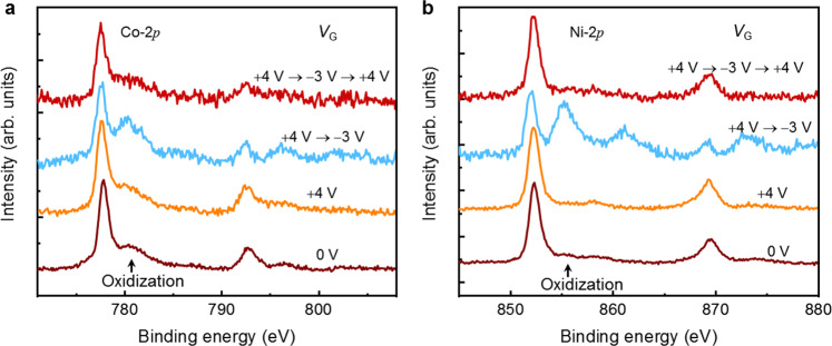 Fig. 3