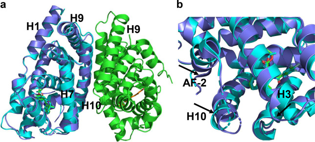 Fig. 10