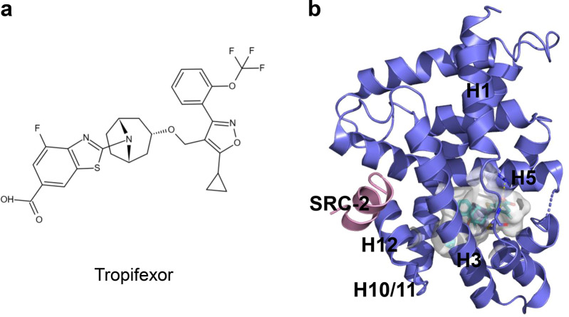 Fig. 9