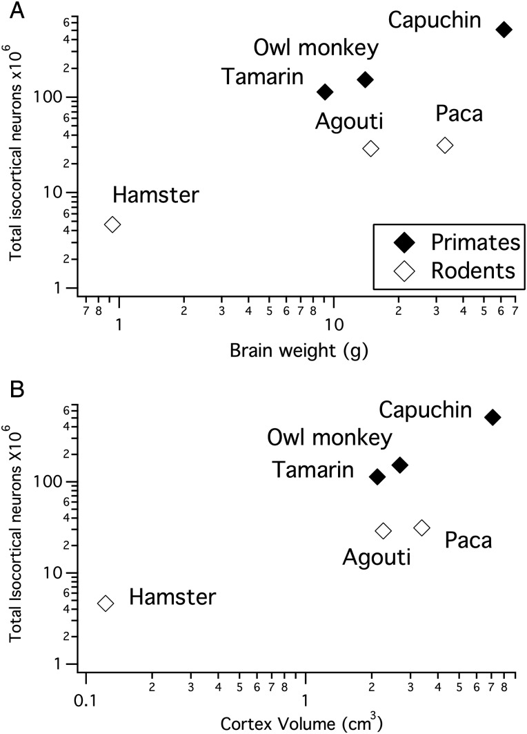 Figure 2.