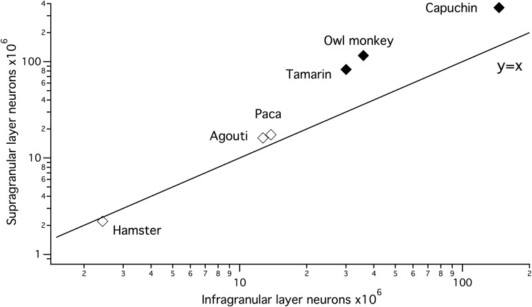 Figure 3.