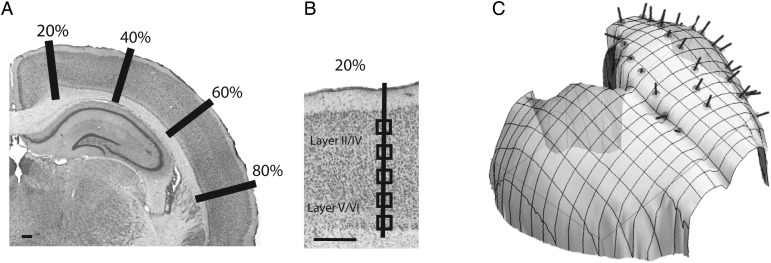 Figure 1.