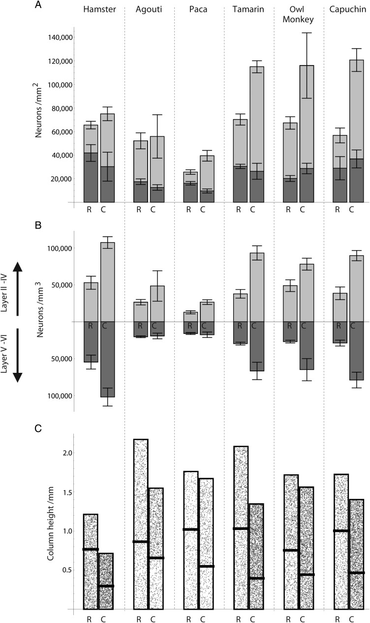 Figure 6.