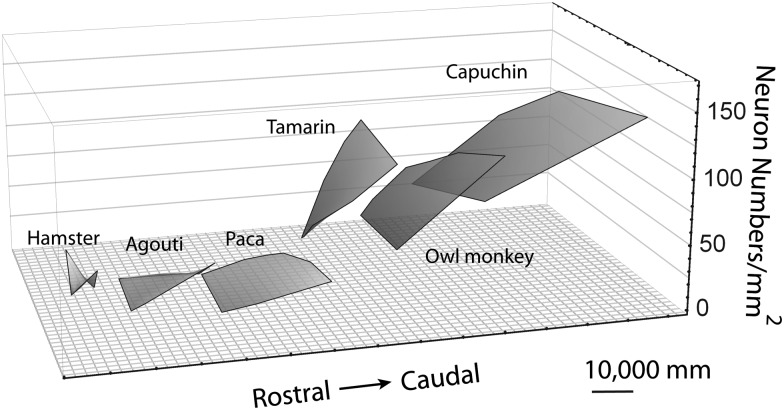 Figure 5.