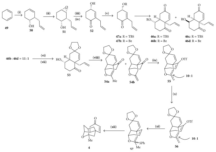 Scheme 7