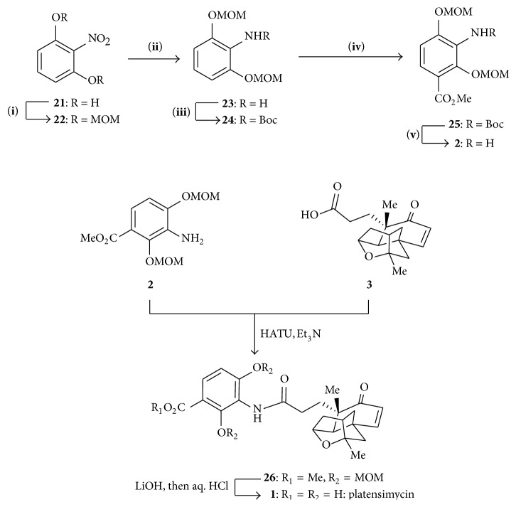 Scheme 3