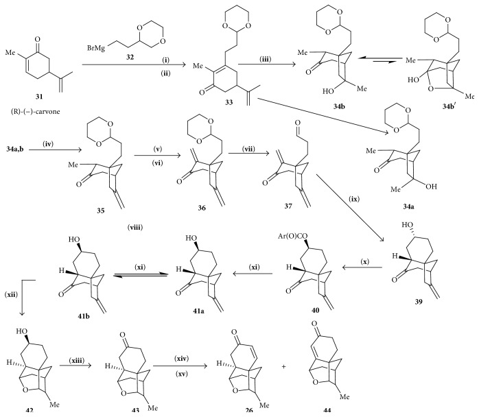 Scheme 5