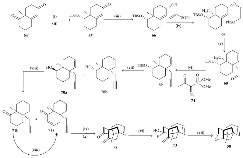 Scheme 9