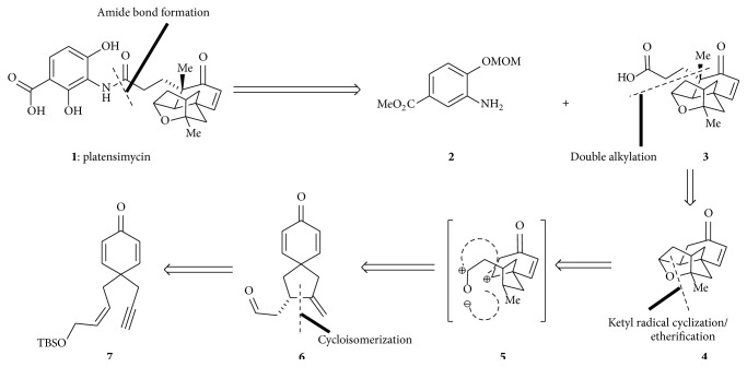 Scheme 1