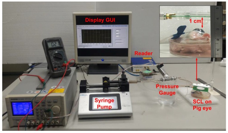 Figure 10