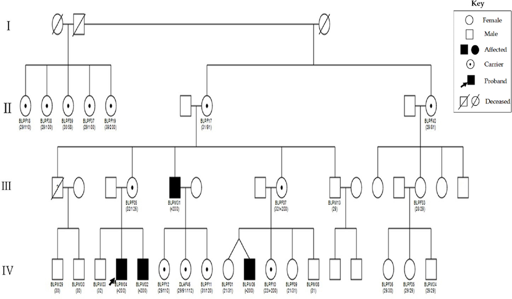 Figure 1: