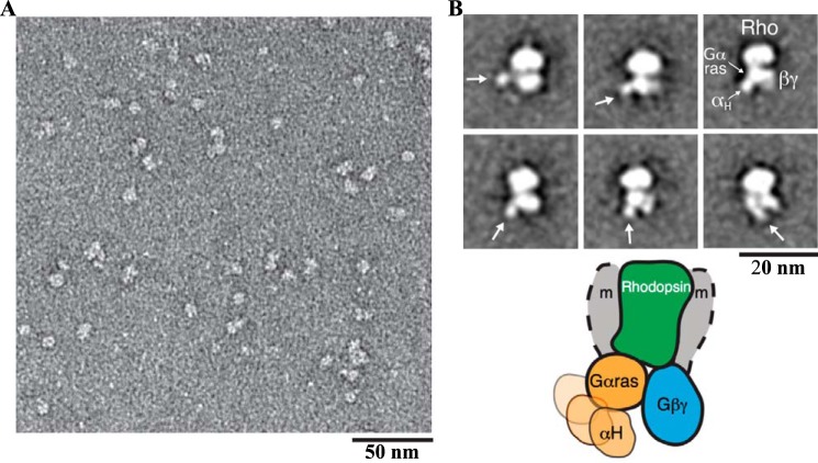 Figure 6.