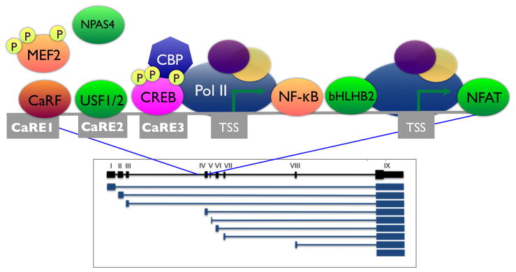 FIGURE 2