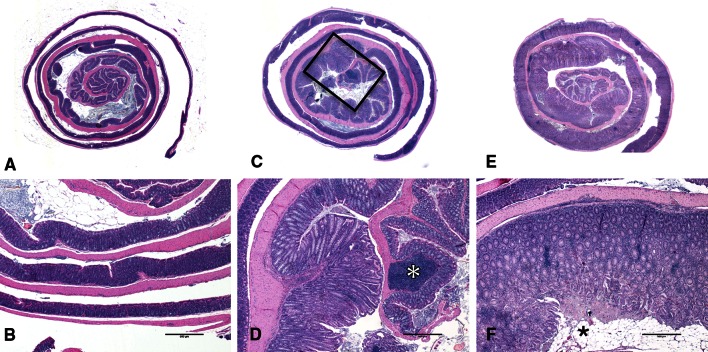 Fig. 5