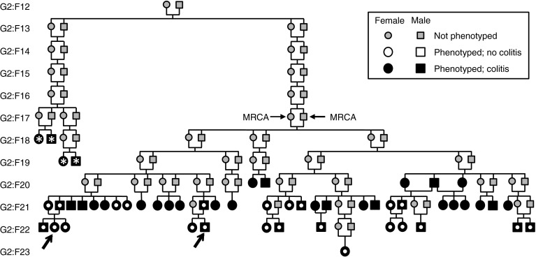 Fig. 1