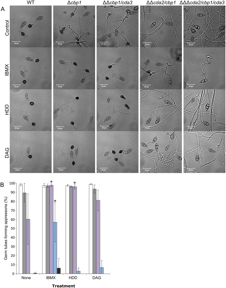 Fig 10