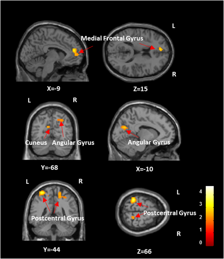 Fig. 7