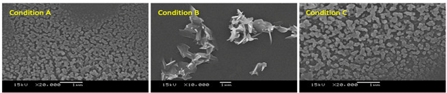 graphic file with name molecules-26-01028-i001.jpg