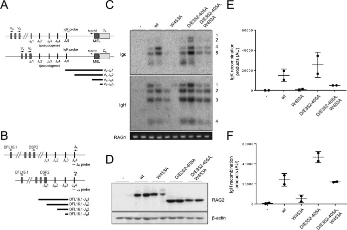 FIG 2