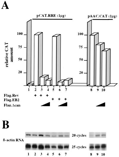 FIG. 6