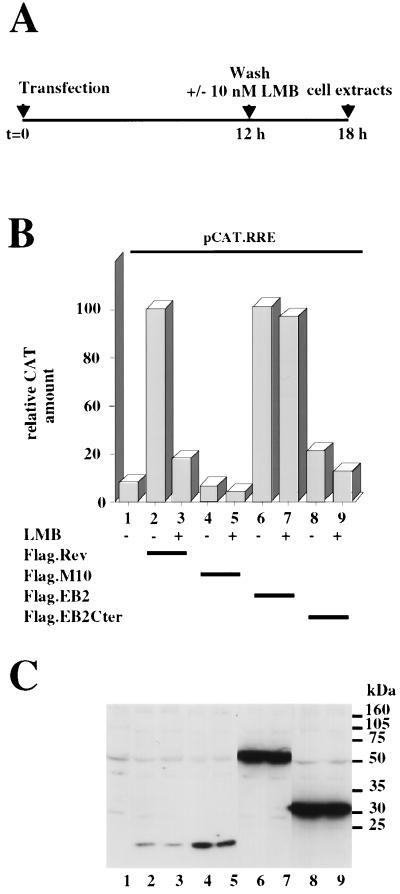 FIG. 3