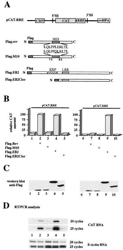 FIG. 1