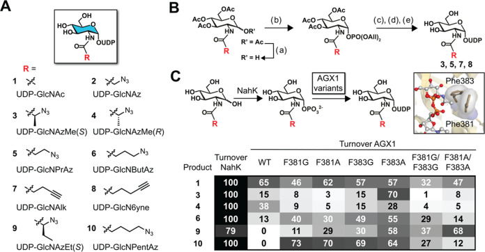 Figure 2