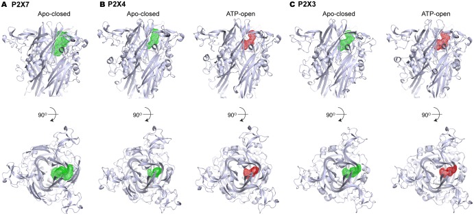 Figure 4—figure supplement 1.