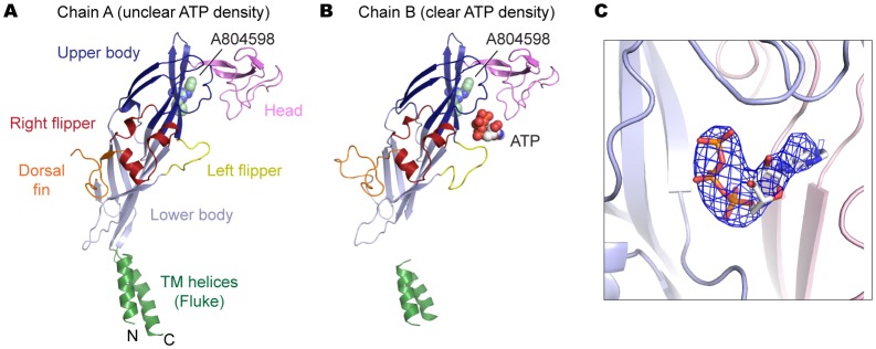 Figure 6—figure supplement 1.