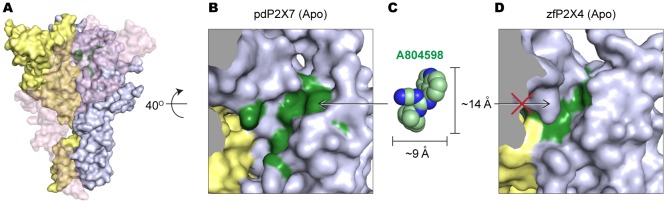 Figure 3—figure supplement 2.