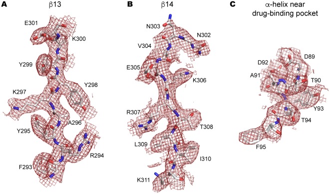 Figure 3—figure supplement 1.