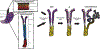 Fig. 1