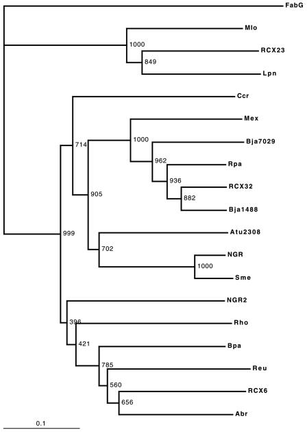 FIG. 2.