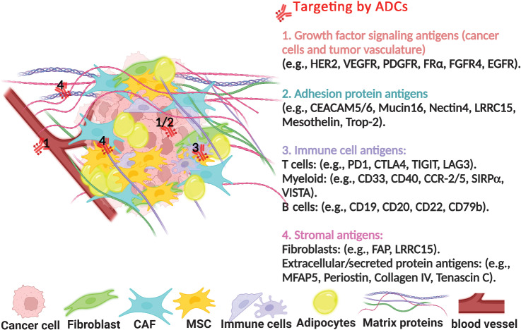 Figure 1. A, Current development in targeting the tumor-stromal interaction by ADCs is being pursued preclinically and in early clinical trials to discover novel therapeutic interventions. PDGFR, platelet-derived growth factor receptor; FRα, folate receptor α; CEACAM5/6, carcinoembryonic antigen-related cell adhesion molecules; Trop-2, trophoblast cell surface antigen 2; CTLA4, cytotoxic T-lymphocyte associated protein 4; TIGIT, T-cell immunoreceptor with immunoglobulin and ITIM domains; LAG3, lymphocyte activation gene-3; CD, cluster of differentiation; CCR-2/5, C-C chemokine receptor; SIRPα, signal regulatory protein α; VISTA, V-domain Ig suppressor of T-cell activation; FAP, fibroblast activation protein; MFAP5, microfibril associated protein 5.