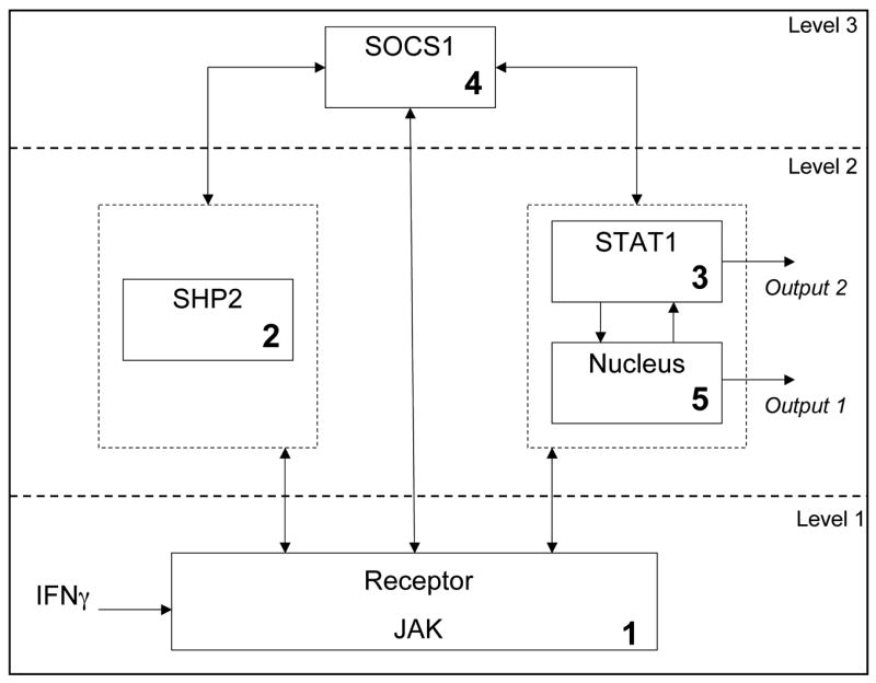 Fig. 12