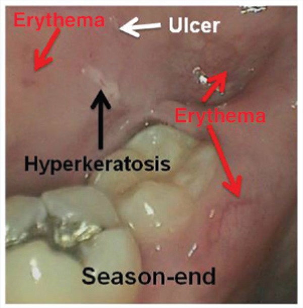 Figure 4.