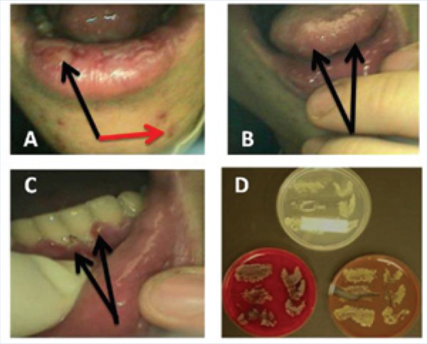 Figure 5.