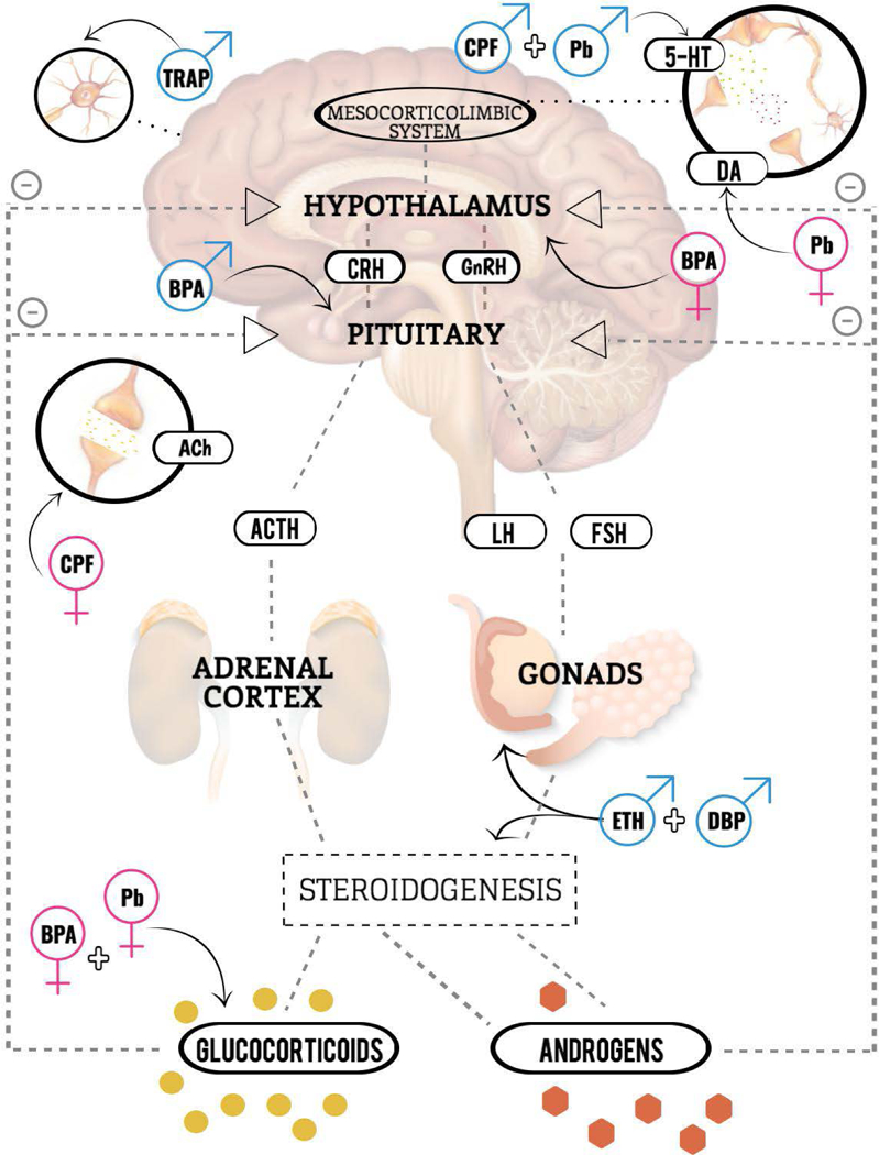 Figure 1.