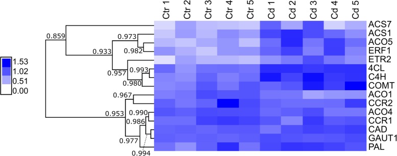 Fig. 3