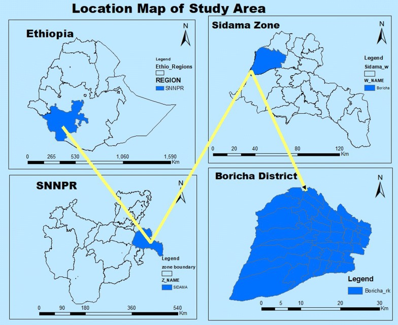 Fig. 1