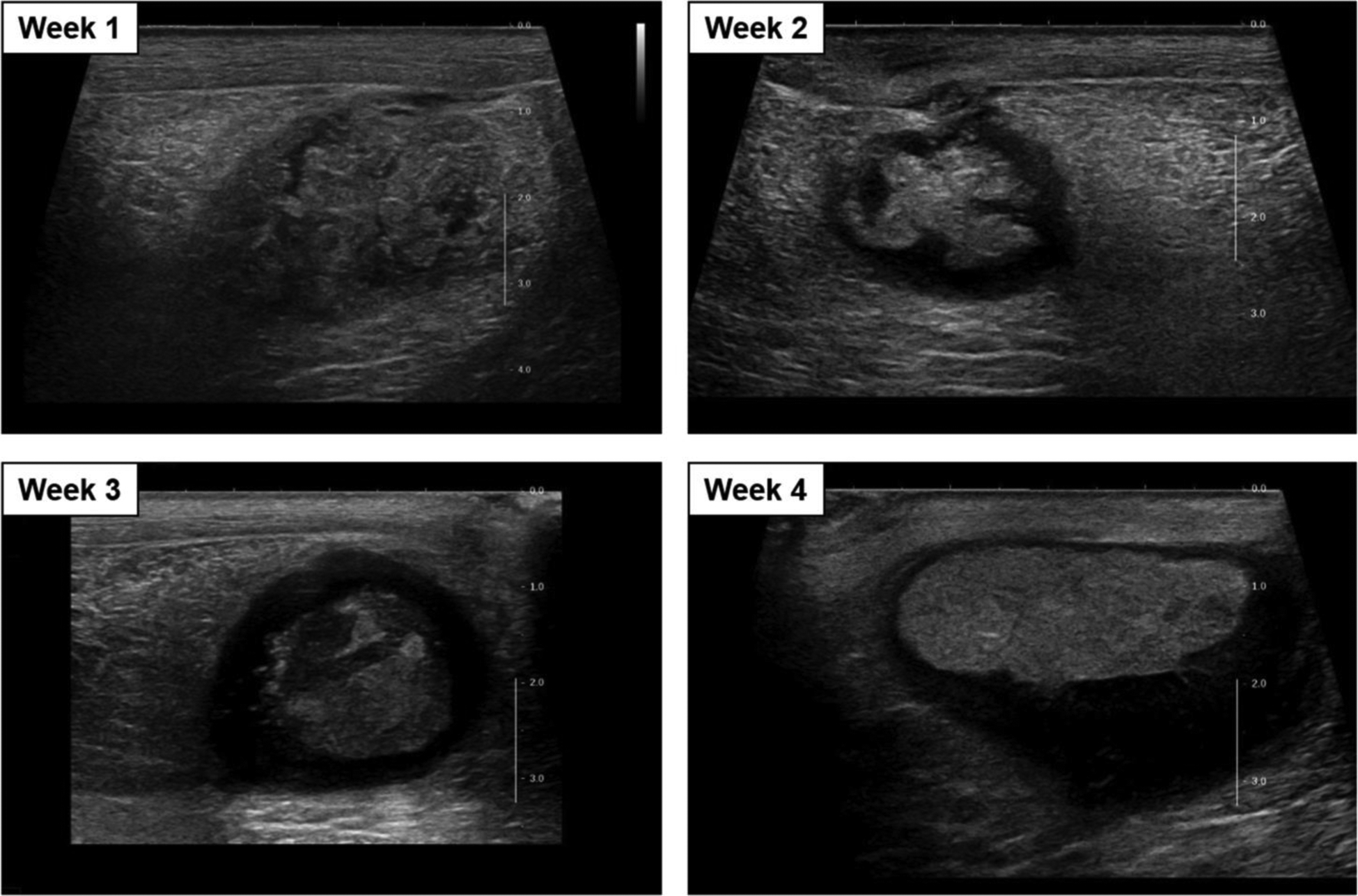 Figure 3.