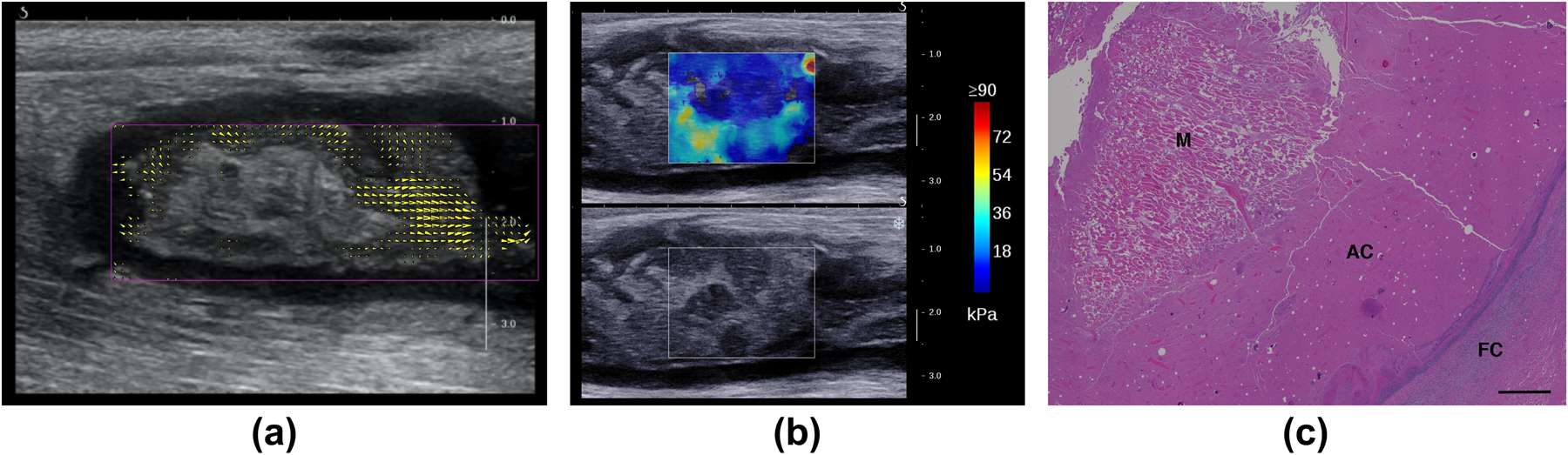 Figure 10.