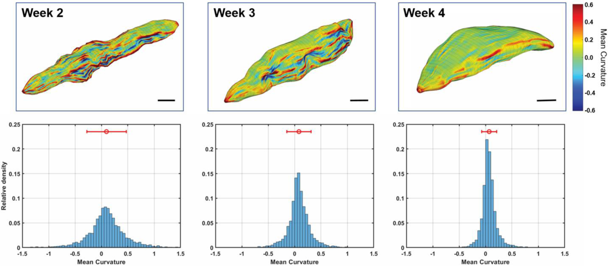 Figure 6.