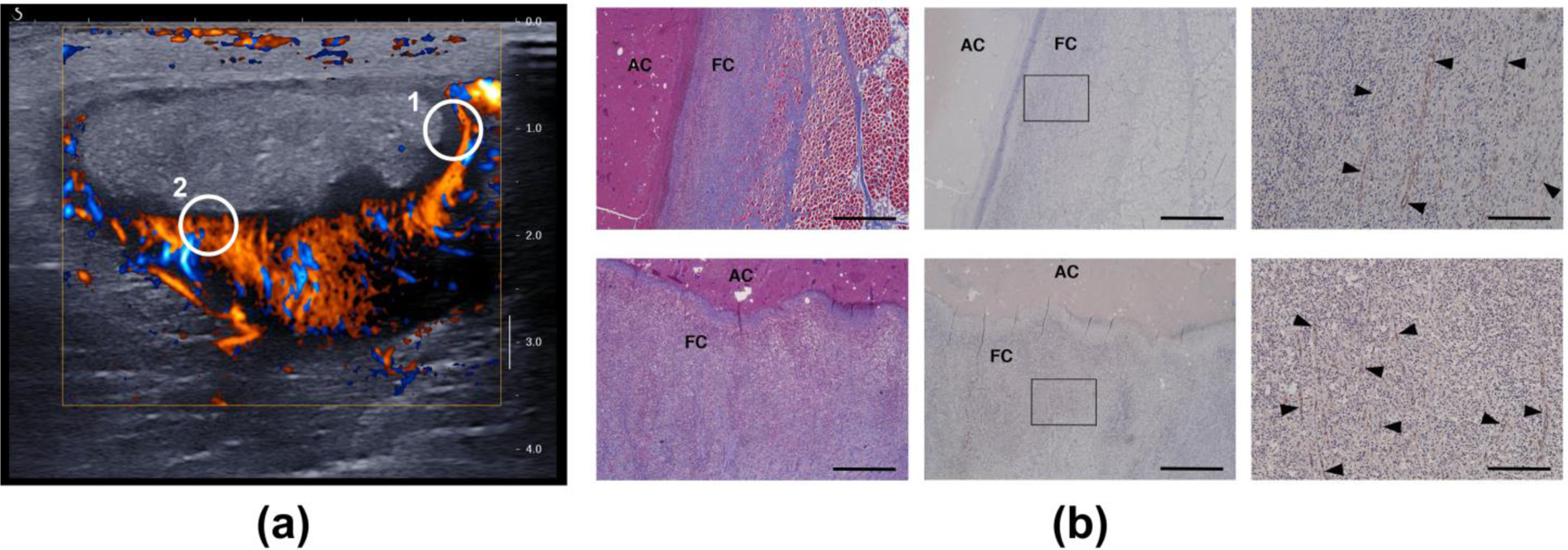 Figure 12.