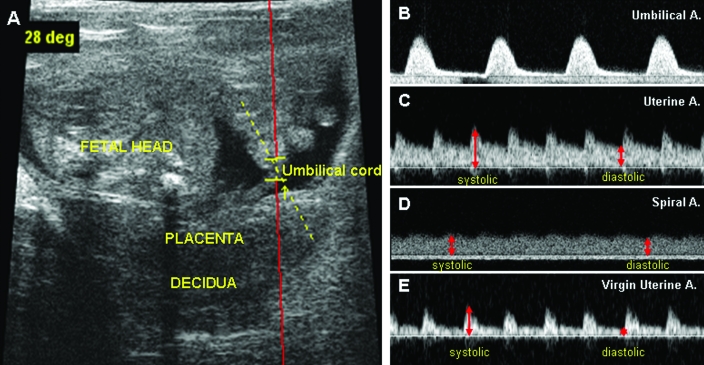 Figure 2.