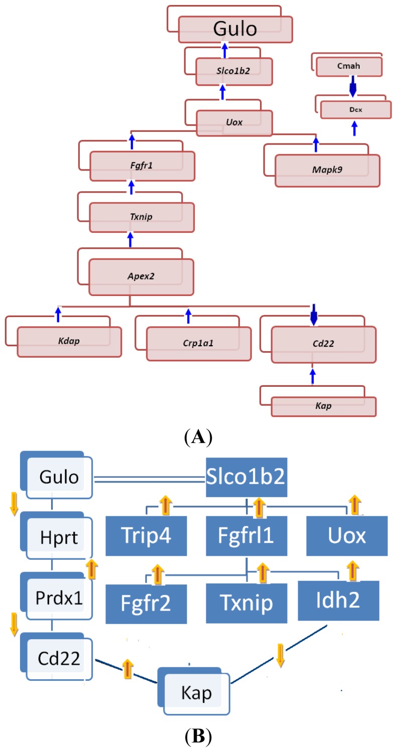 Figure 9